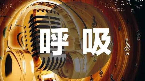 爆料入口唱歌视频大全,带你领略音乐魅力  第3张