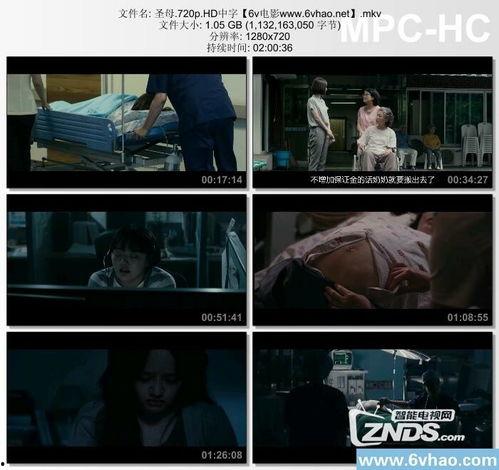 圣母 韩国在线观看  第1张